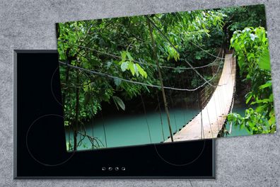 Herdabdeckplatte - 90x52 cm - Natur - Brücke - Türkis