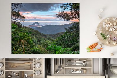 Herdabdeckplatte - 70x52 cm - Dschungel - Gebirge - Costa Rica