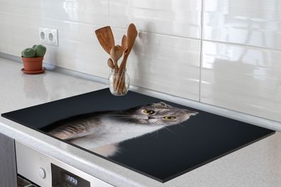 Herdabdeckplatte - 80x52 cm - Katze - Haustiere - Licht