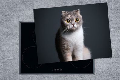 Herdabdeckplatte - 70x52 cm - Katze - Haustiere - Licht