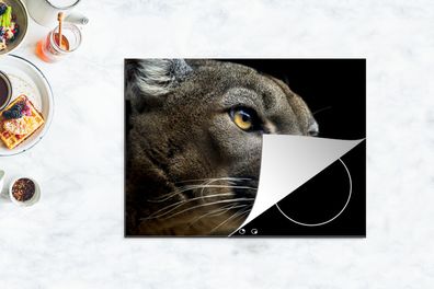 Herdabdeckplatte - 70x52 cm - Puma - Wilde Tiere - Porträt