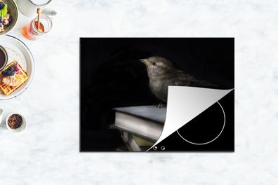 Herdabdeckplatte - 70x52 cm - Vogel - Bücher - Porträt