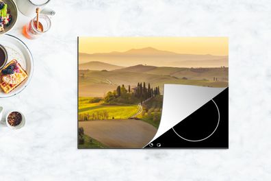 Herdabdeckplatte - 70x52 cm - Italien - Weinberg - Olivengarten