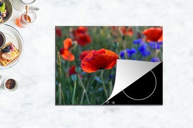 Herdabdeckplatte - 70x52 cm - Bunte Mohnblumen in den Niederlanden