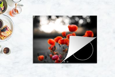 Herdabdeckplatte - 70x52 cm - Rote Mohnblumen vor schwarzem und weißem Hintergrund