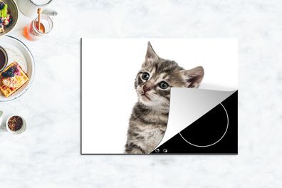 Herdabdeckplatte - 70x52 cm - Kätzchen - Fell - Haustier
