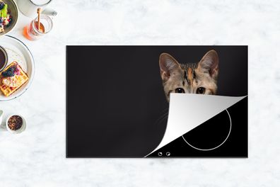 Herdabdeckplatte - 85x52 cm - Katze - Schwarz - Porträt