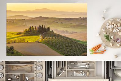 Herdabdeckplatte - 80x52 cm - Italien - Weinberg - Olivengarten