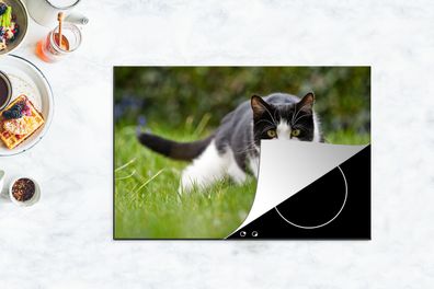 Herdabdeckplatte - 78x52 cm - Katze - Gras - Schwarz - Weiß