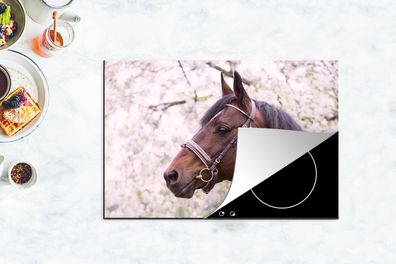 Herdabdeckplatte - 78x52 cm - Pferd - Sakura - Halfter