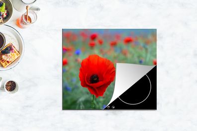 Herdabdeckplatte - 75x52 cm - Lila und rote Mohnblumen auf einer Wiese