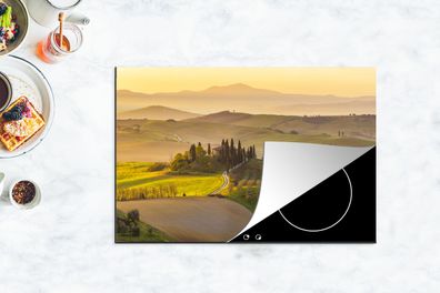 Herdabdeckplatte - 78x52 cm - Italien - Weinberg - Olivengarten
