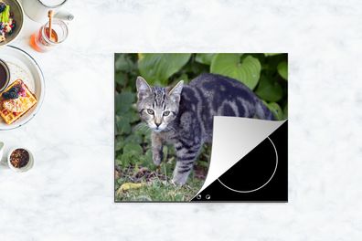 Herdabdeckplatte - 75x52 cm - Katze - Haustier - Garten