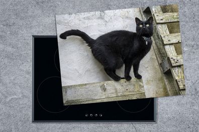 Herdabdeckplatte - 70x52 cm - Katze - Schwarz - Palette