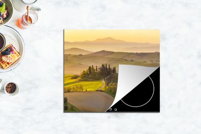 Herdabdeckplatte - 75x52 cm - Italien - Weinberg - Olivengarten