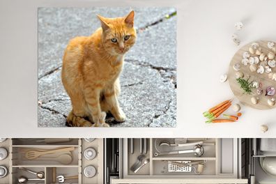 Herdabdeckplatte - 75x52 cm - Katze - Rot - Straße