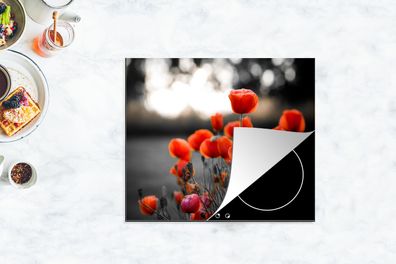 Herdabdeckplatte - 75x52 cm - Rote Mohnblumen vor schwarzem und weißem Hintergrund