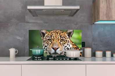 Spritzschutz Küche - 100x50 cm - Leopard - Natur - Gefleckt (Gr. 100x50 cm)