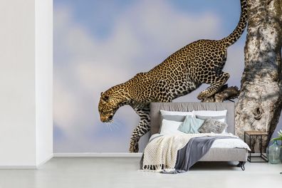 Fototapete - 420x280 cm - Leopard - Baum - Sprung (Gr. 420x280 cm)
