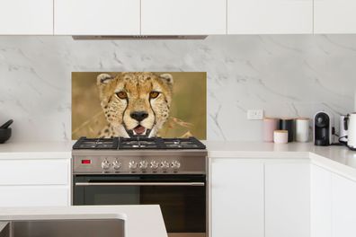 Spritzschutz Küche - 100x50 cm - Leopard - Kopf - Pflanzen (Gr. 100x50 cm)