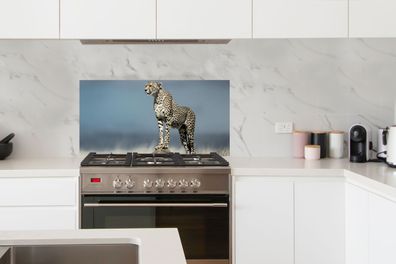Spritzschutz Küche - 100x50 cm - Leopard - Steine - Wolken (Gr. 100x50 cm)