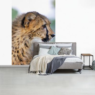 Fototapete - 180x280 cm - Leopard - Kopf - Haar (Gr. 180x280 cm)