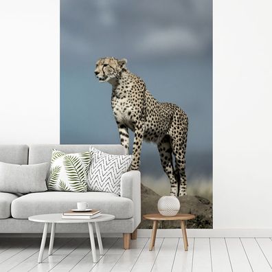 Fototapete - 145x220 cm - Leopard - Steine - Wolken (Gr. 145x220 cm)