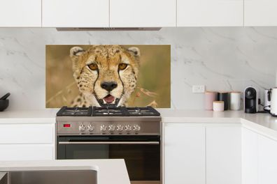Spritzschutz Küche - 120x60 cm - Leopard - Kopf - Pflanzen (Gr. 120x60 cm)