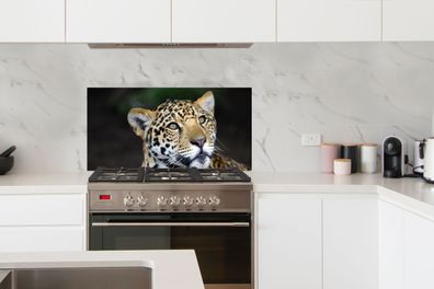 Spritzschutz Küche - 100x50 cm - Leopard - Kopf - Wald (Gr. 100x50 cm)