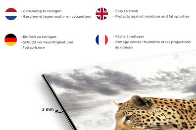 Spritzschutz Küche - 120x60 cm - Leopard - Wolken - Baum (Gr. 120x60 cm)