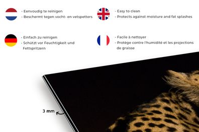 Spritzschutz Küche - 100x50 cm - Leopard - Zunge - Nacht (Gr. 100x50 cm)