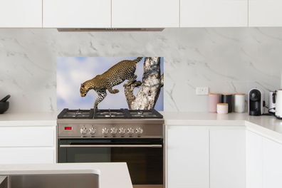 Spritzschutz Küche - 100x50 cm - Leopard - Baum - Sprung (Gr. 100x50 cm)