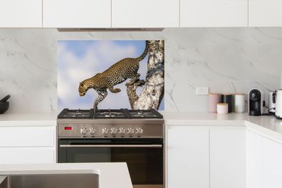 Spritzschutz Küche - 100x65 cm - Leopard - Baum - Sprung (Gr. 100x65 cm)