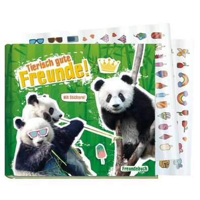 Lernfreunde Tierisch gute Freunde [Panda]