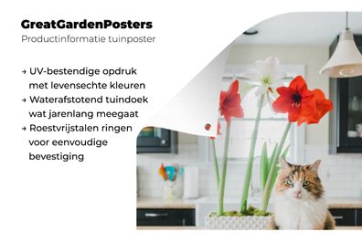 Gartenposter - 80x120 cm - Katze - Blumen - Tisch (Gr. 80x120 cm)