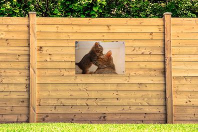 Gartenposter - 90x60 cm - Katze - Kätzchen - Schwarz (Gr. 90x60 cm)