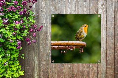 Gartenposter - 100x100 cm - Basketballring - Rotkehlchen - Natur (Gr. 100x100 cm)