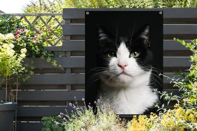 Gartenposter - 90x120 cm - Katze - Schwarz - Weiß (Gr. 90x120 cm)