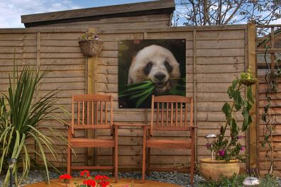 Gartenposter - 50x50 cm - Tiere - Panda - Dschungel (Gr. 50x50 cm)