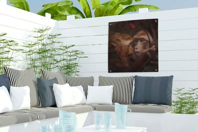 Gartenposter - 50x50 cm - Schmetterling - Affe - Tiere - Dschungel (Gr. 50x50 cm)