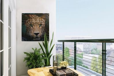 Gartenposter - 50x50 cm - Dschungel - Panther - Wilde Tiere (Gr. 50x50 cm)