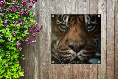 Gartenposter - 100x100 cm - Dschungel - Tiger - Wilde Tiere (Gr. 100x100 cm)