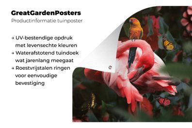 Gartenposter - 50x50 cm - Flamingo - Tiere - Dschungel (Gr. 50x50 cm)