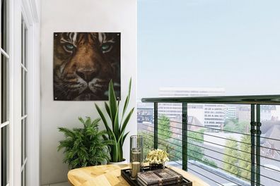Gartenposter - 50x50 cm - Tiere - Tiger - Wild (Gr. 50x50 cm)