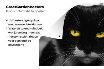 Gartenposter - 120x80 cm - Schwarz-Weiß-Foto des Kopfes einer schwarzen Katze mit gel
