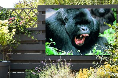 Gartenposter - 120x80 cm - Ein klaffender Gorilla in einer grünen Umgebung
