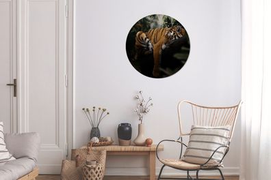 Runde Wandbilder - 60x60 cm - Tiere - Tiger - Dschungel (Gr. 60x60 cm)