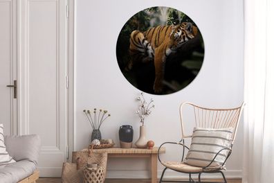Runde Wandbilder - 120x120 cm - Tiere - Tiger - Dschungel (Gr. 120x120 cm)