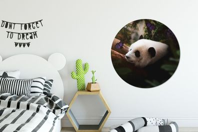 Runde Wandbilder - 90x90 cm - Tiere - Dschungel - Panda (Gr. 90x90 cm)