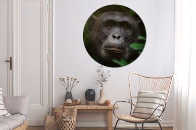 Runde Wandbilder - 140x140 cm - Tiere - Affe - Dschungel (Gr. 140x140 cm)